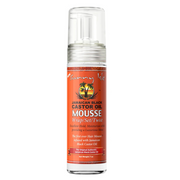 Sunny Isle Jamaican Black Castor Oil Hair Mousse-Styling Mousse-Aladin Beauty