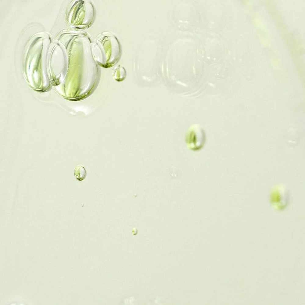 Beauty Of Joseon Green Tea Panthenol Calming Serum 30ml-Dermatological Serum-Aladin Beauty