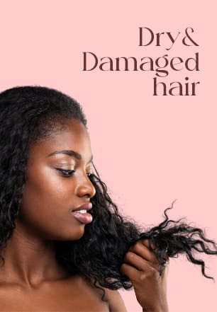 Woman with dry and damaged hair Concerns
