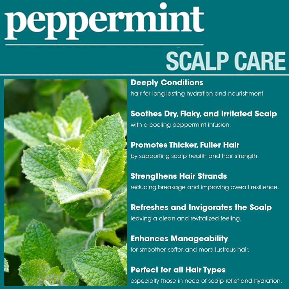 Difeel Peppermint Scalp Care Conditioner 12oz-All-Aladin Beauty