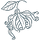 Ingredient image